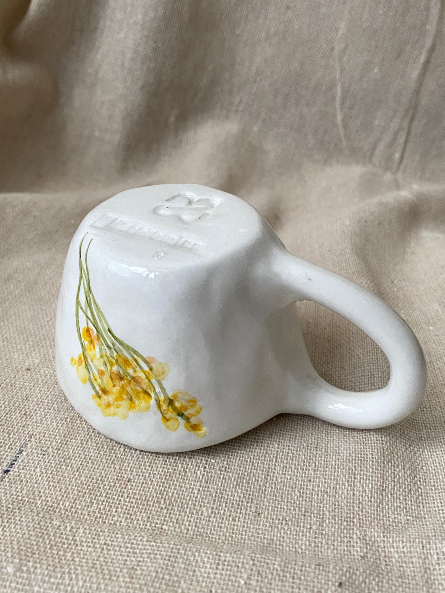 TAZZINA caffè - Gypsophila gialla