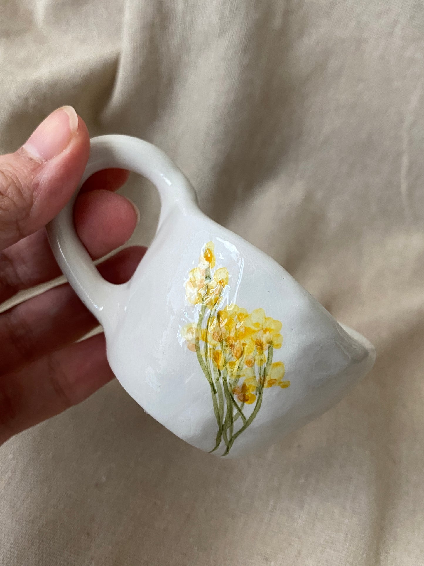 TAZZINA caffè - Gypsophila gialla
