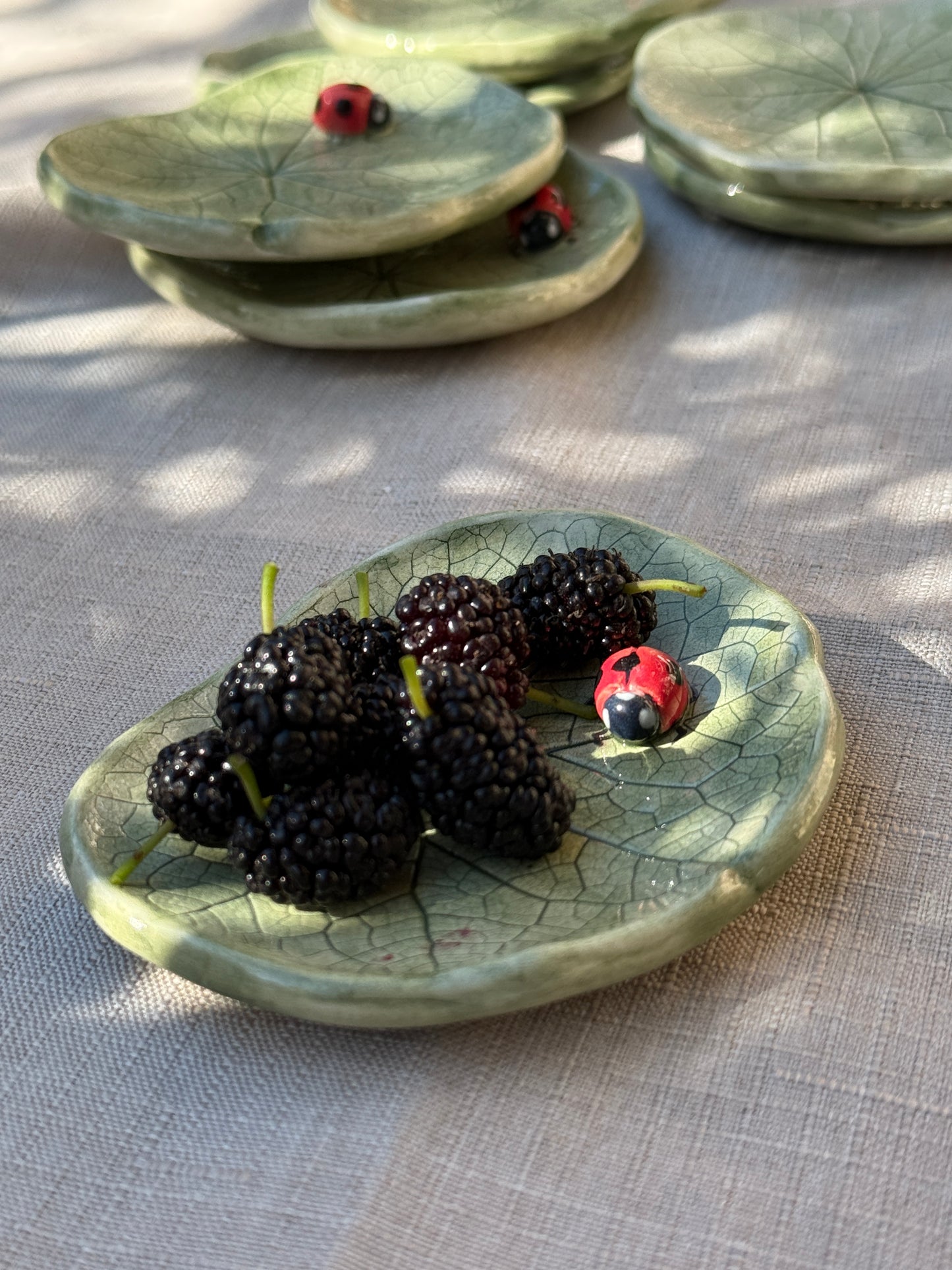 Piattino - Nasturzio e Coccinella