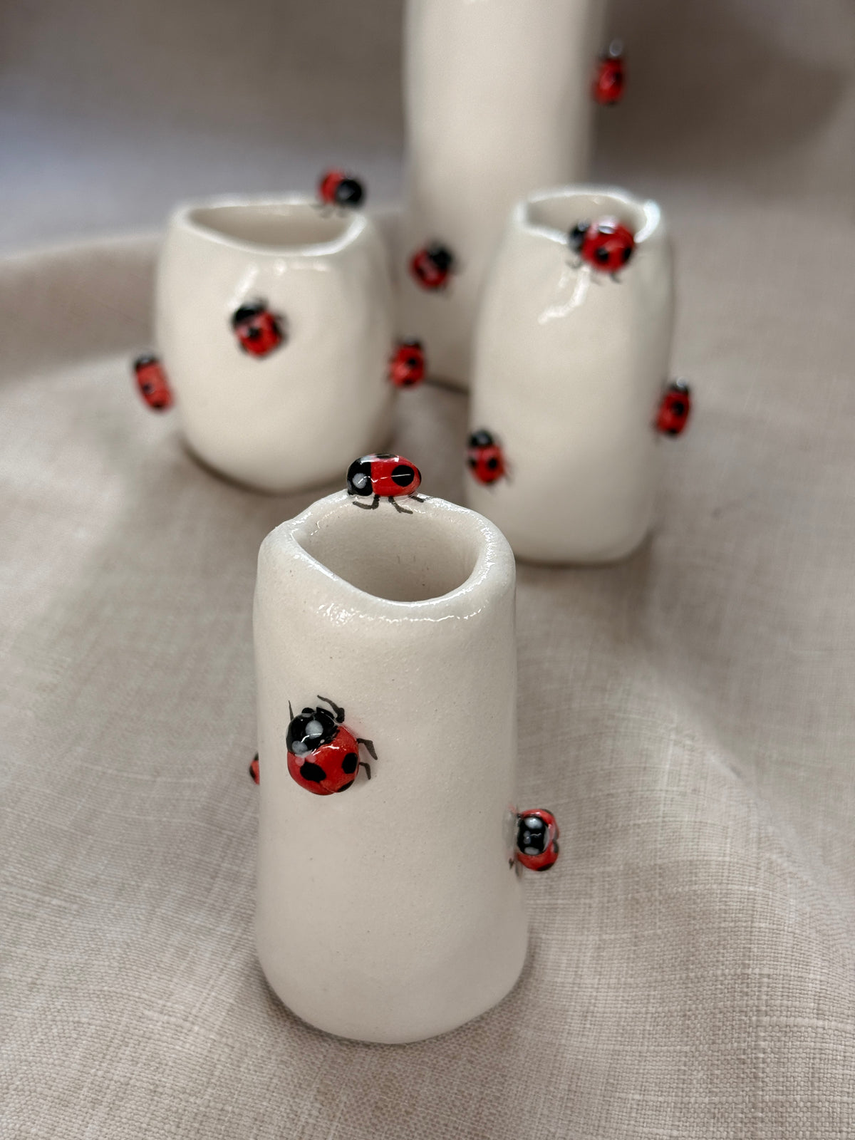 Vasetto Coccinelle