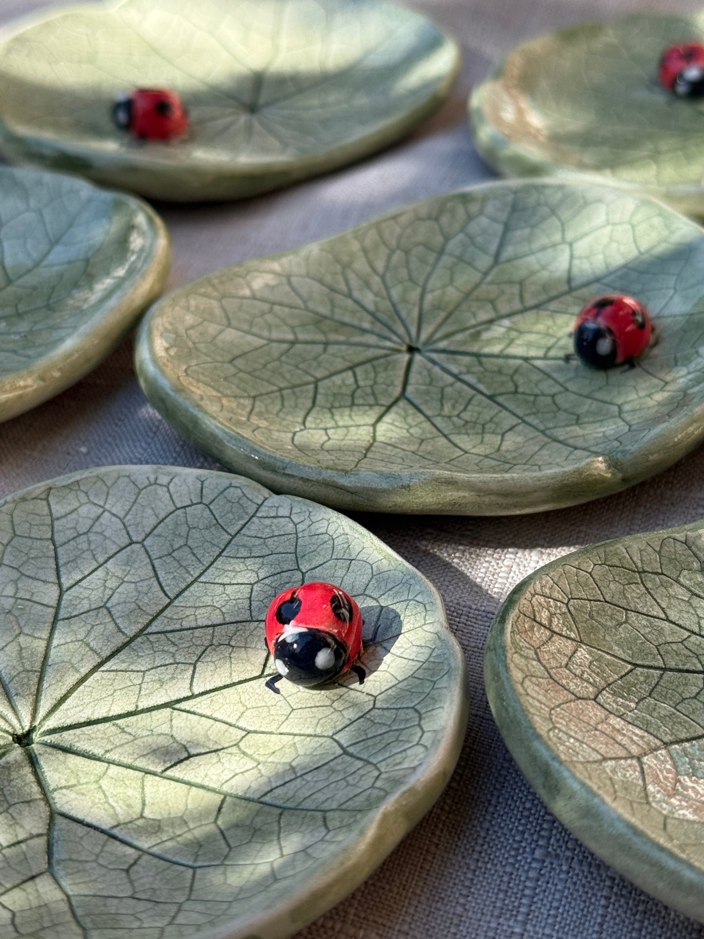 Piattino - Nasturzio e Coccinella
