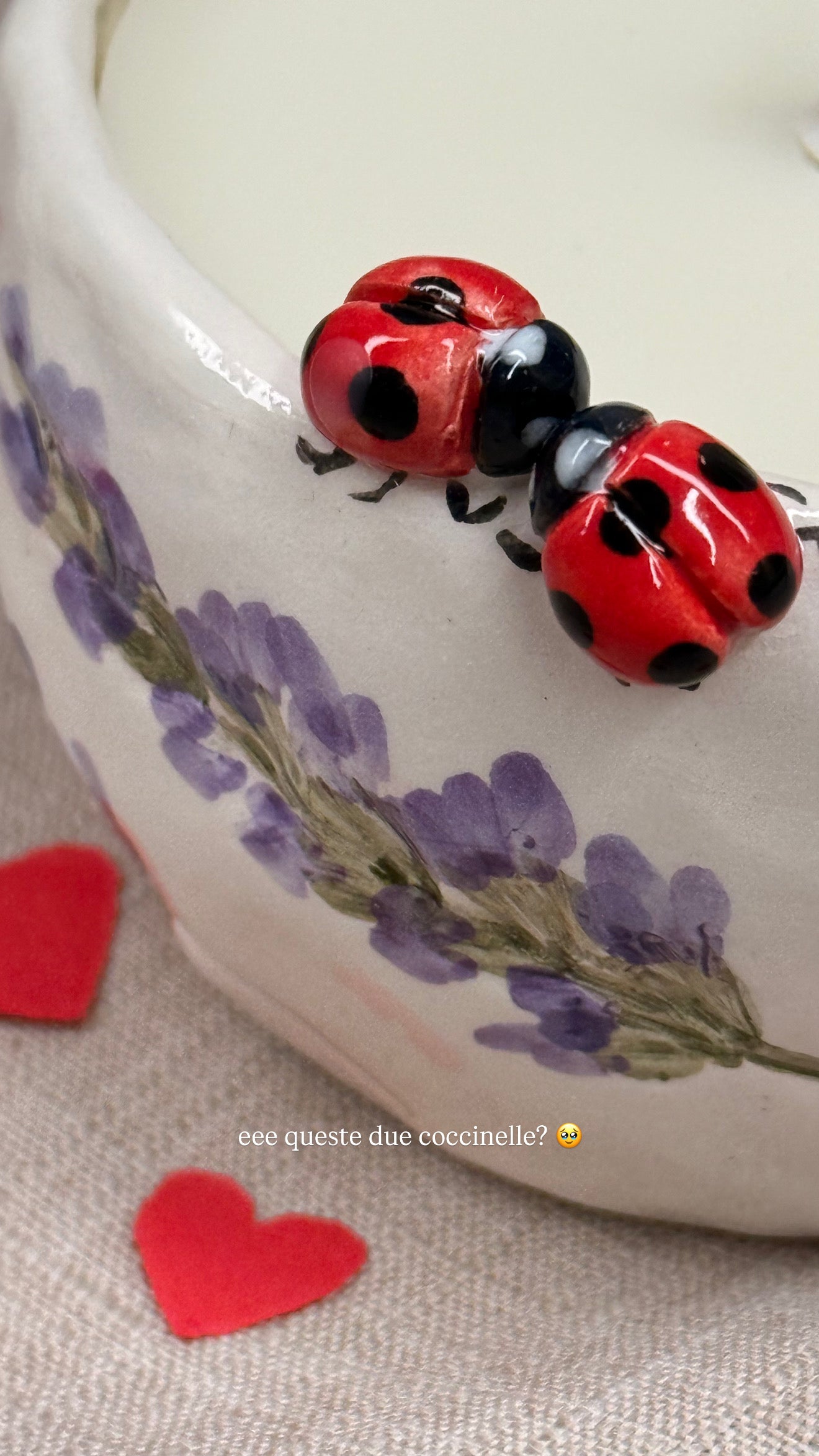 CANDELA - Gypsophila Coccinelle e Lavanda