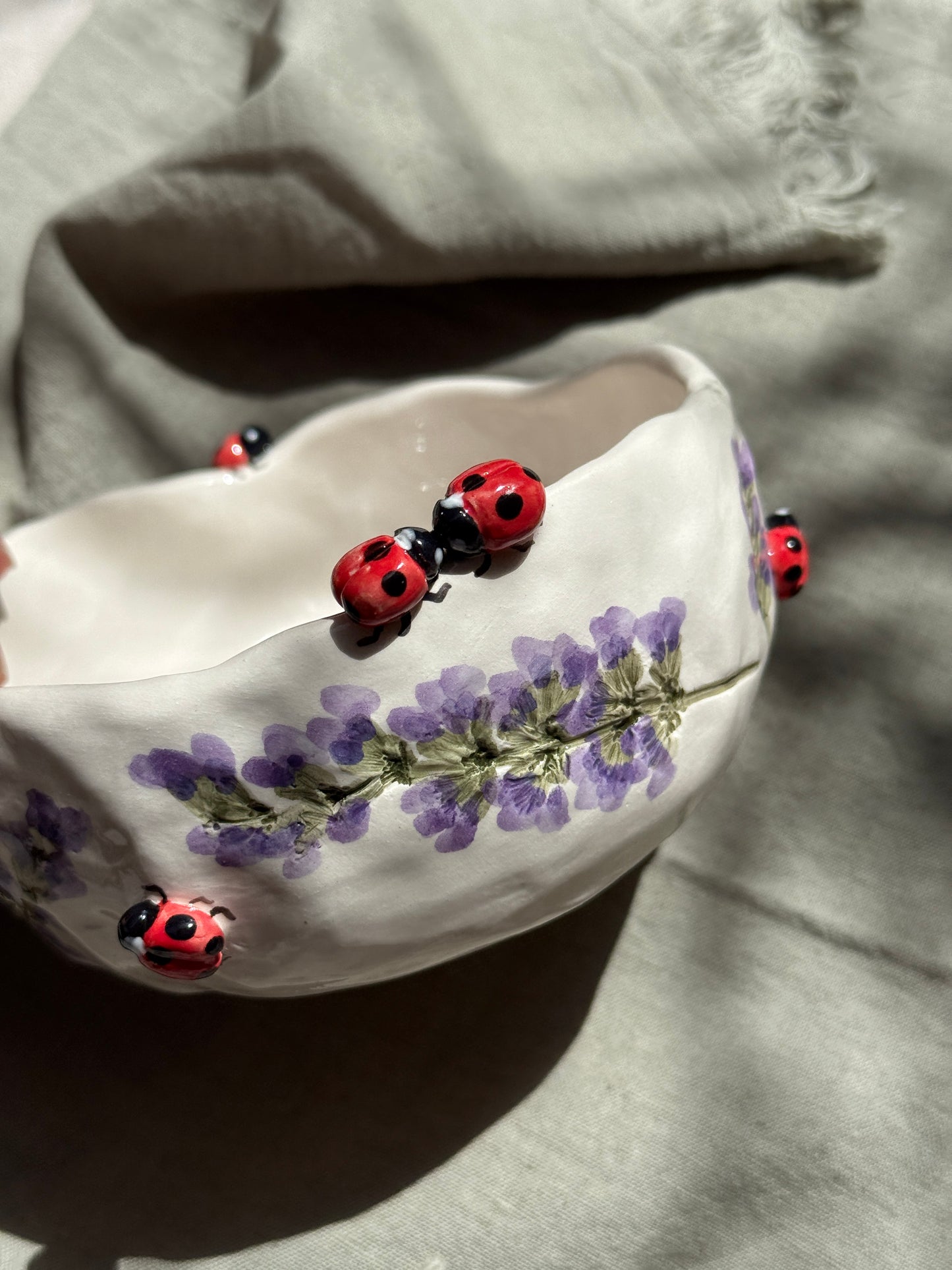 Ciotola Coccinelle