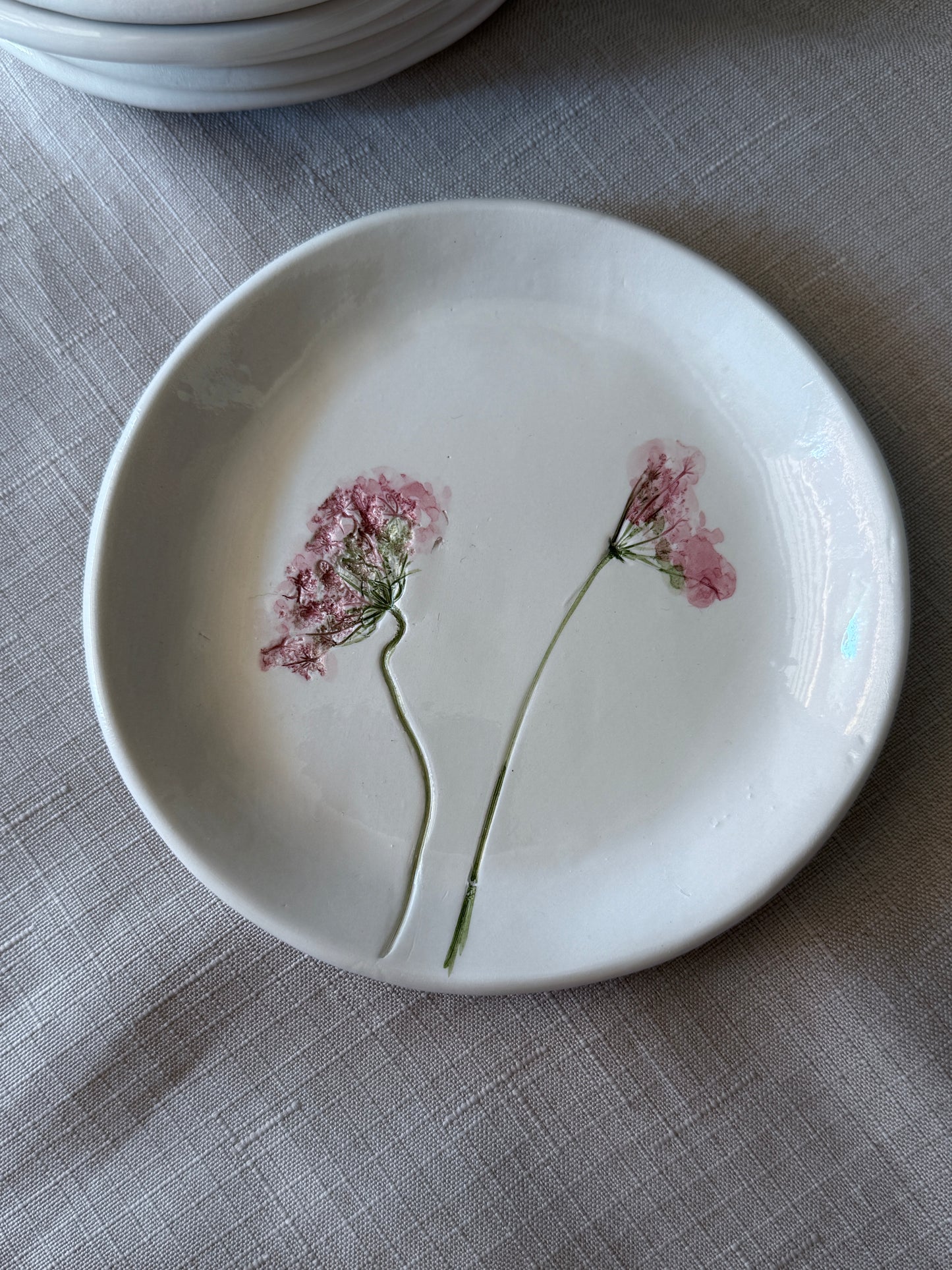 PIATTO FIORITO - Daucus carota