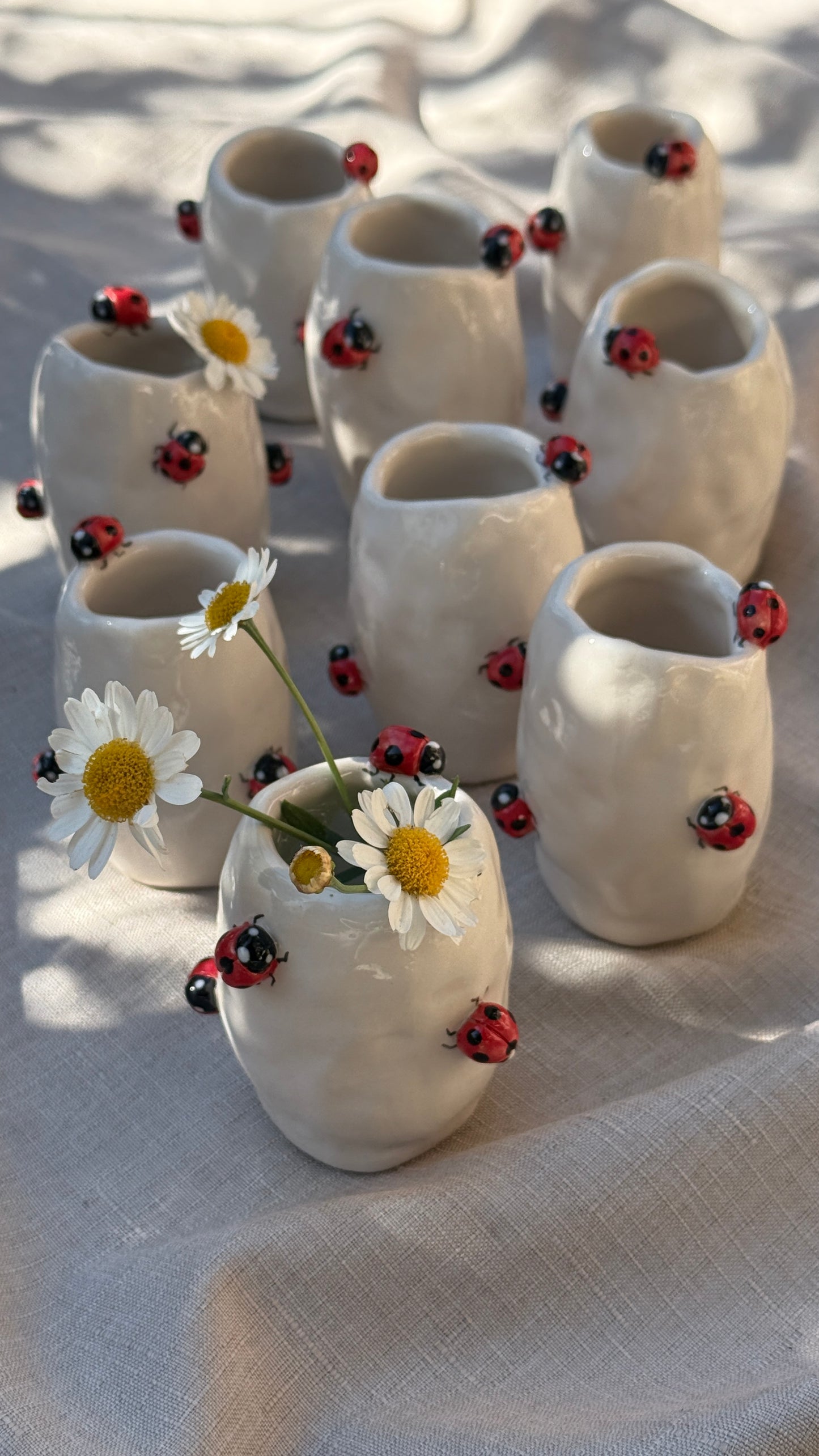 Vasetto Coccinelle