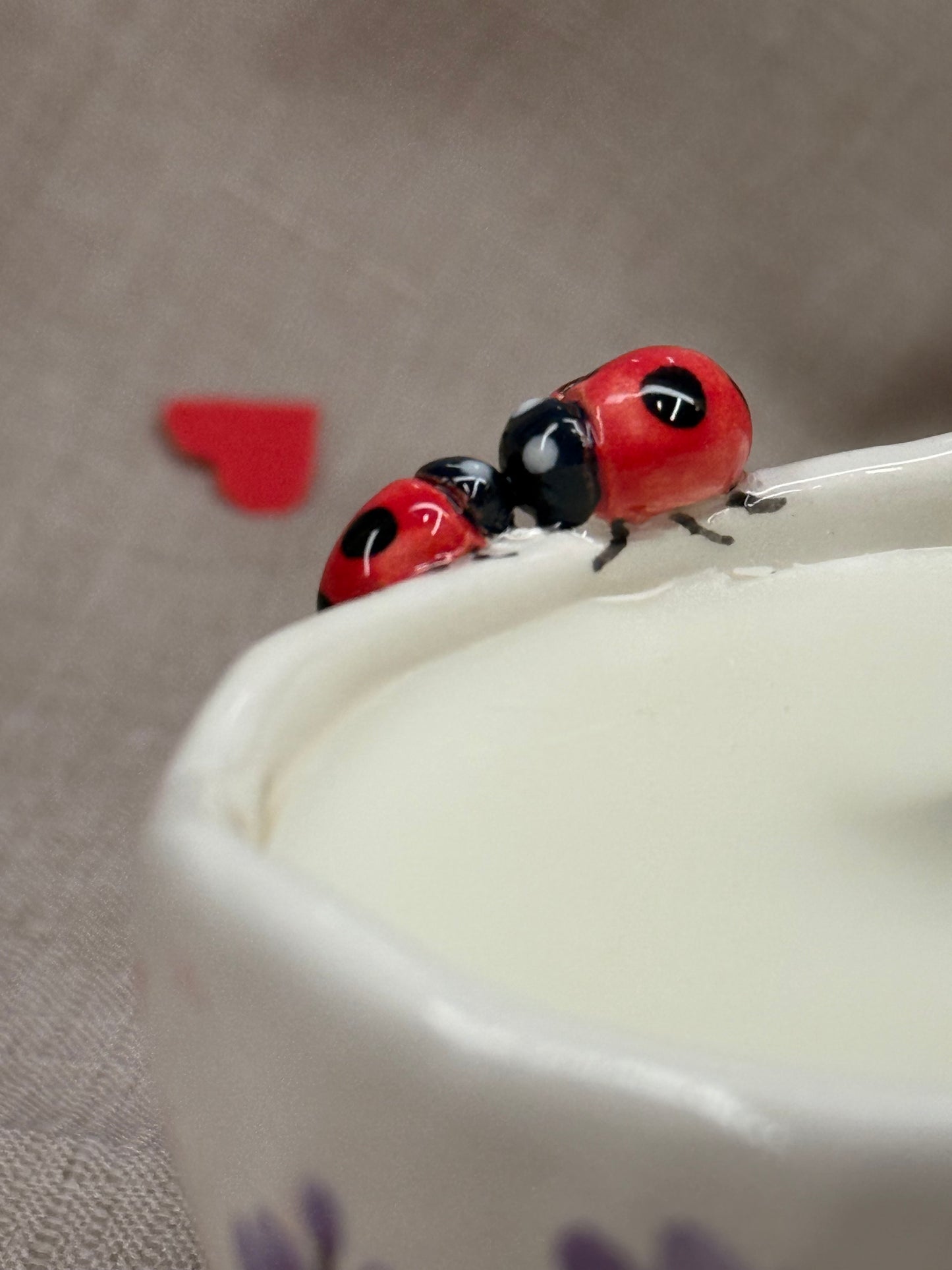 CANDELA - Coccinelle e Lavanda