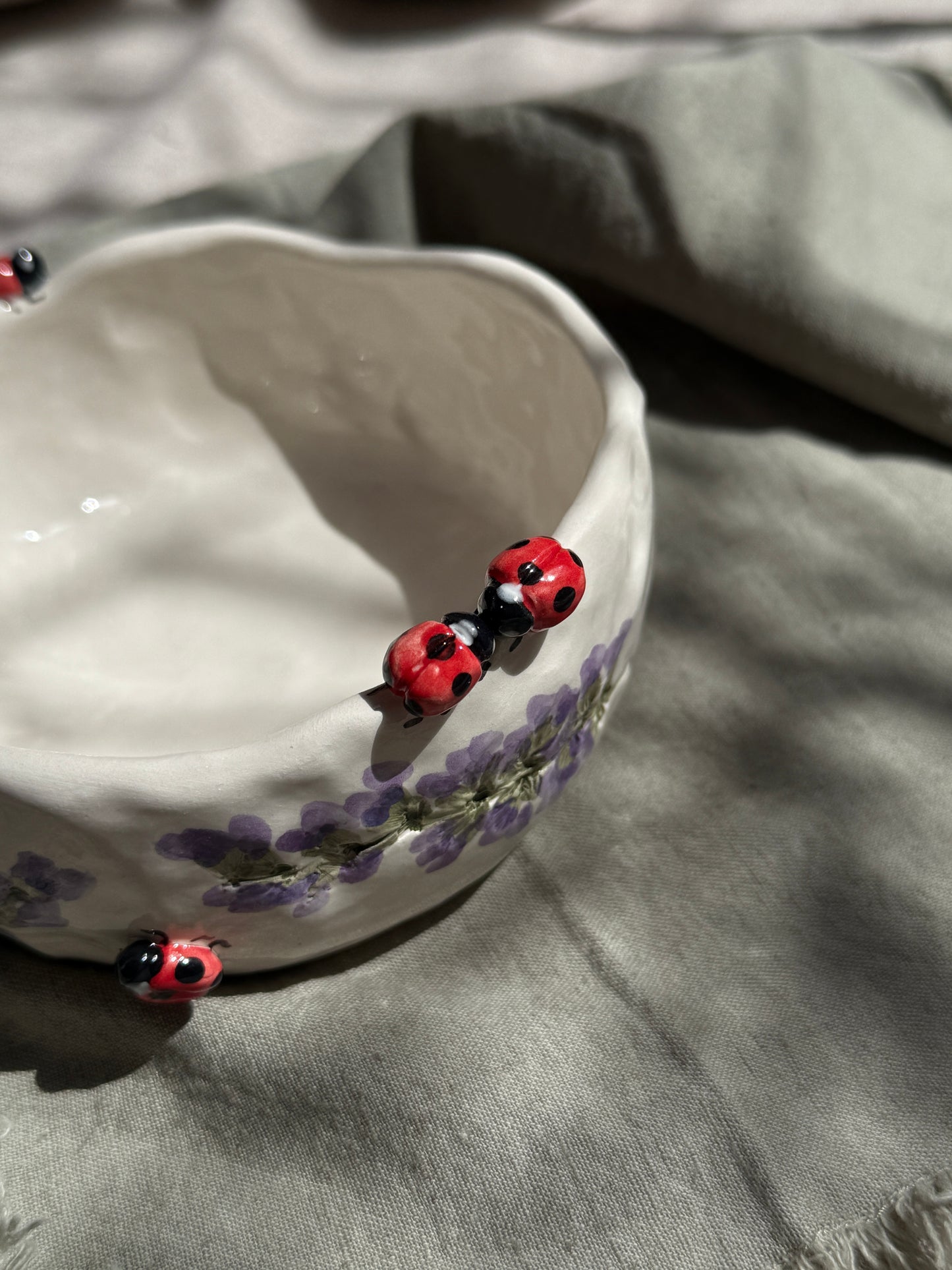 Ciotola Coccinelle