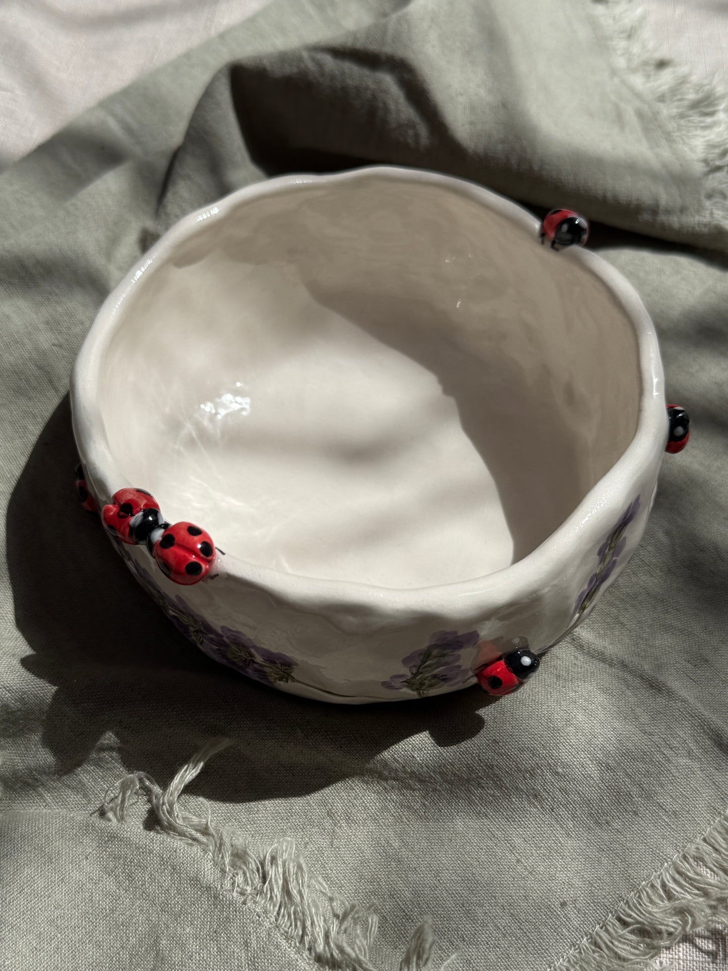 Ciotola Coccinelle