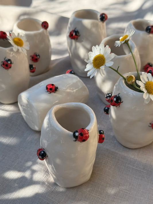 Vasetto Coccinelle