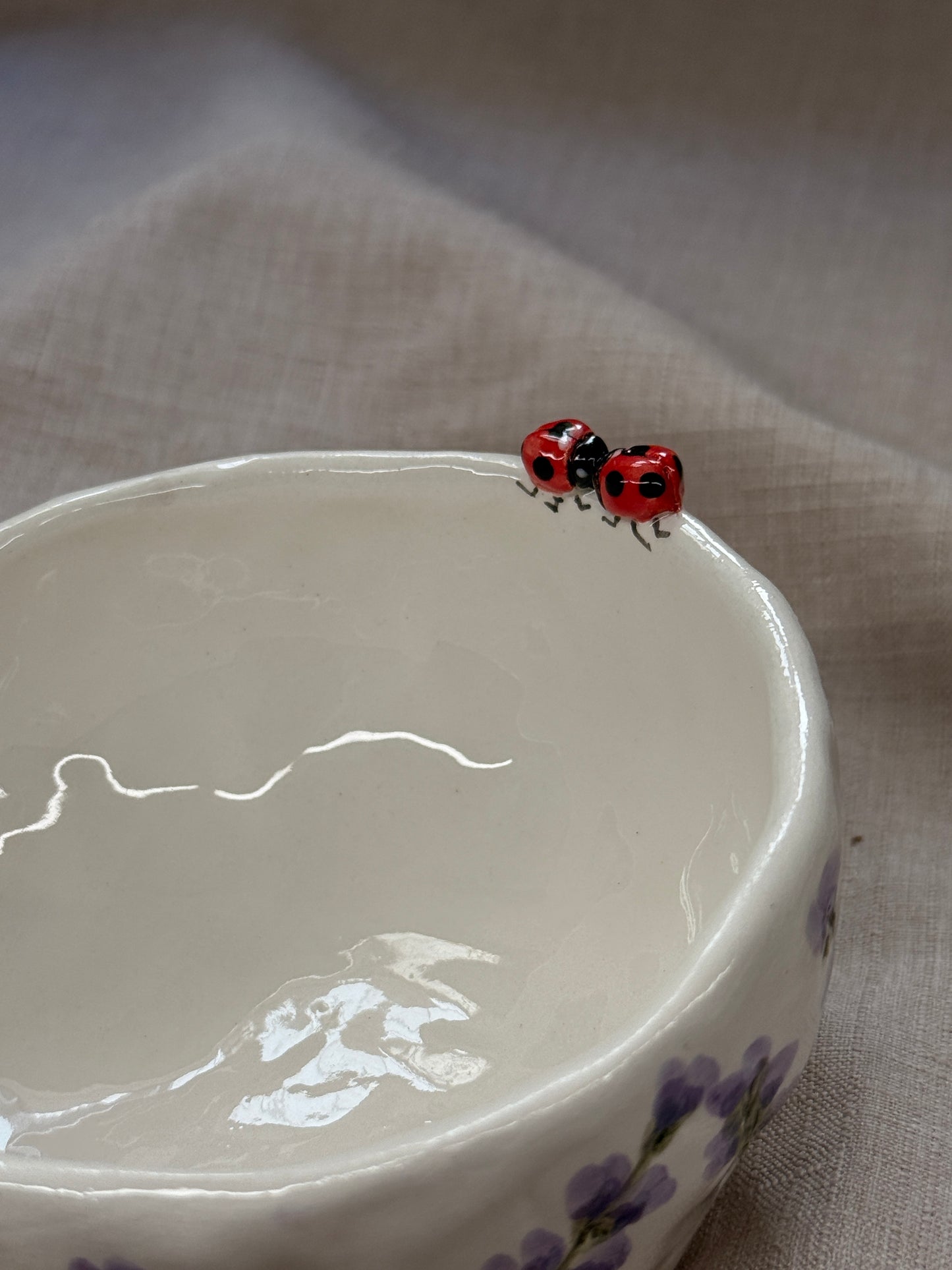 Ciotola Coccinelle