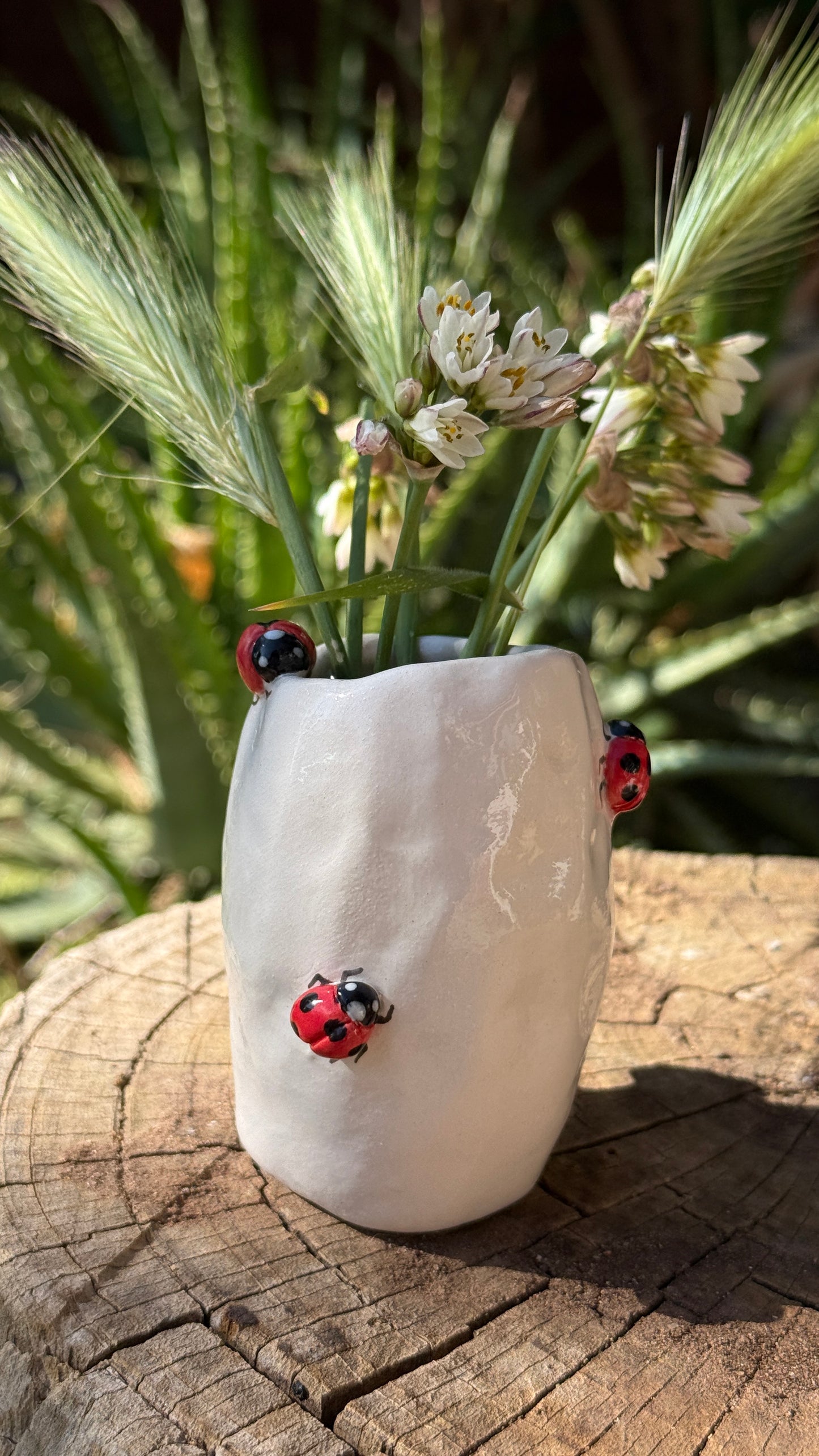 Vasetto Coccinelle