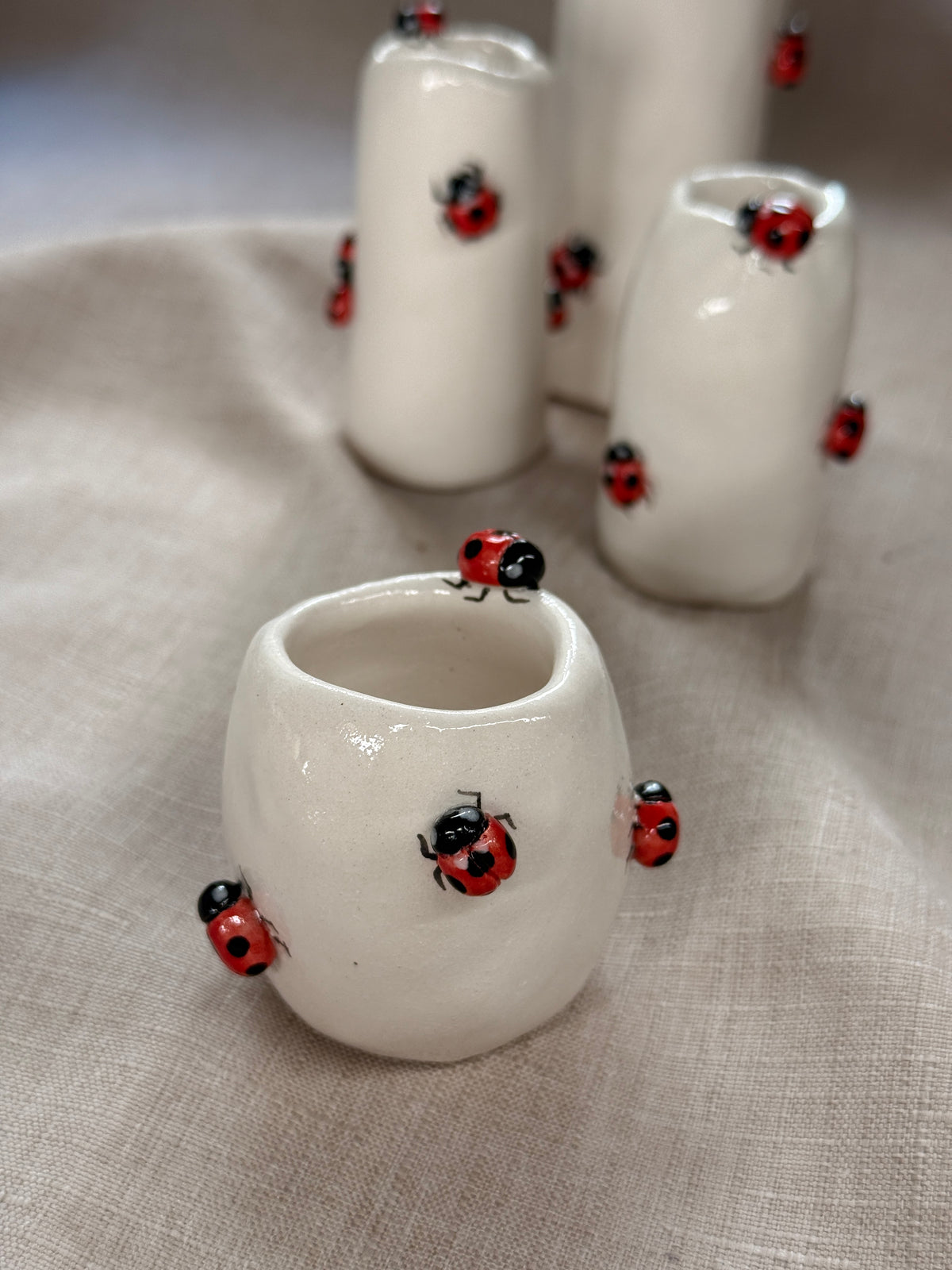 Vasetto Coccinelle