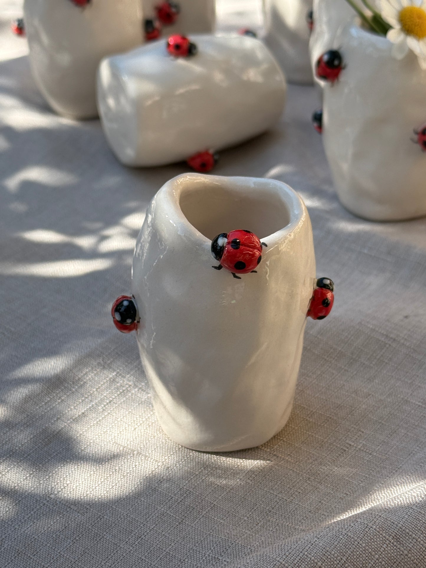 Vasetto Coccinelle