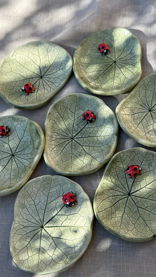 Piattino - Nasturzio e Coccinella