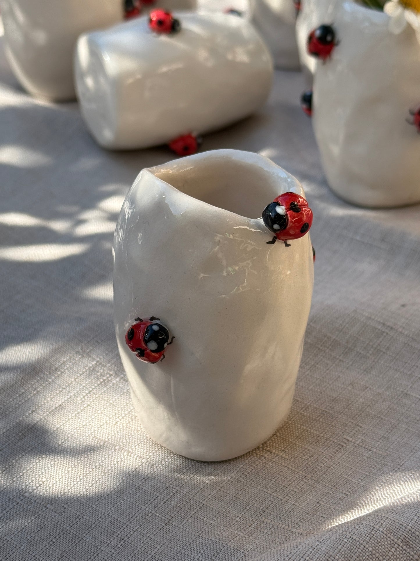 Vasetto Coccinelle